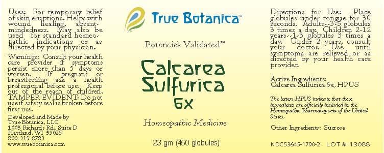 Calcarea Sulfurica package label