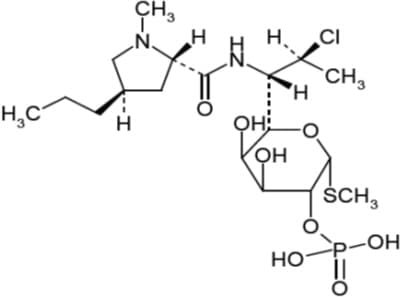 Clindamycin Phosphate and Benzoyl Peroxide — Reference image, actual packaging may vary