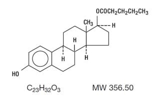 Delestrogen — Reference image, actual packaging may vary