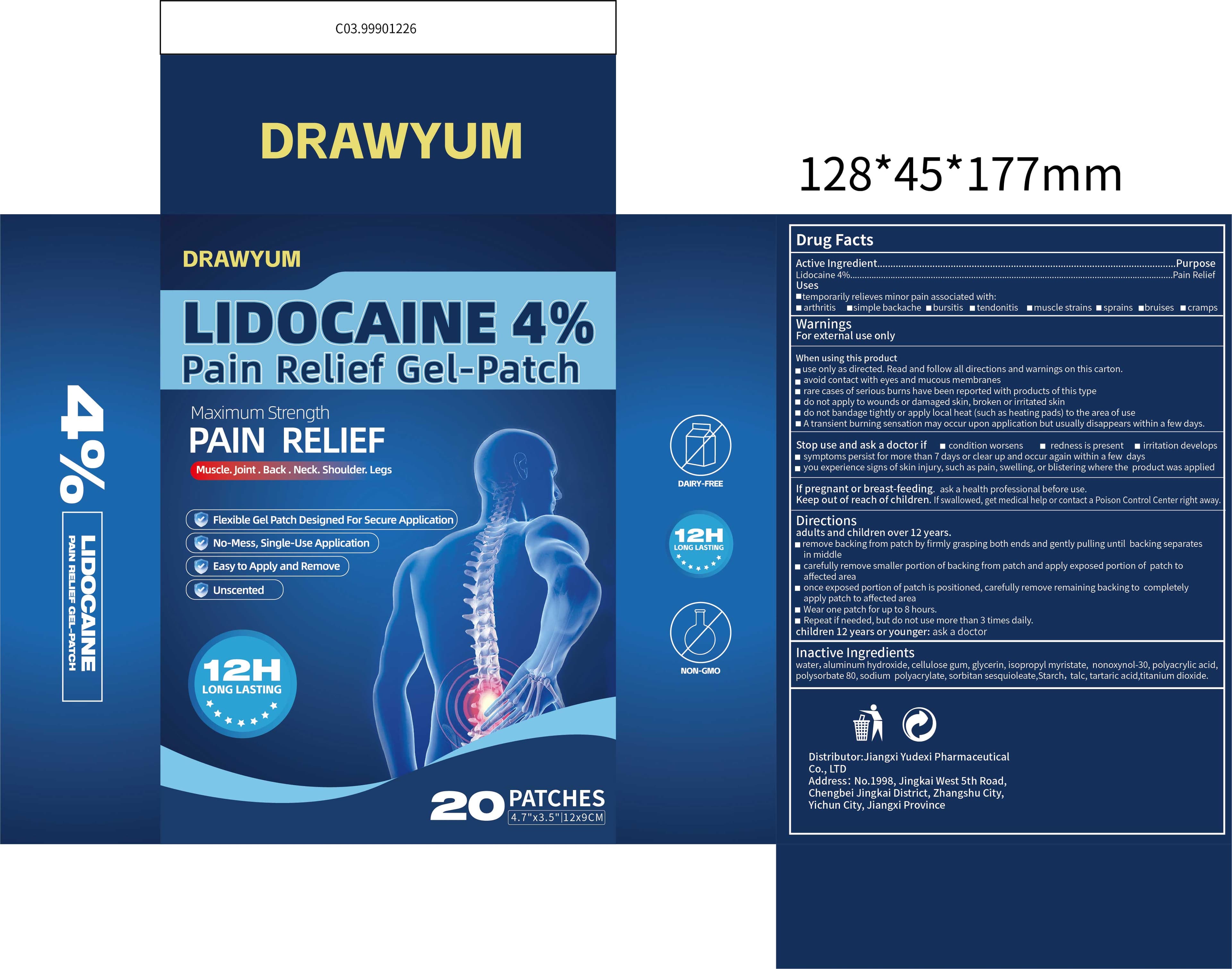 Lidocaine 4% Pain Relief Gel Patch — Reference image, actual packaging may vary