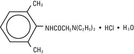 Gold Label — Reference image, actual packaging may vary