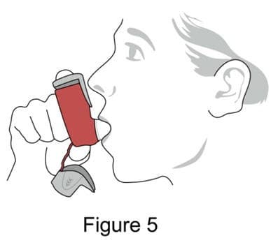 Symbicort package label