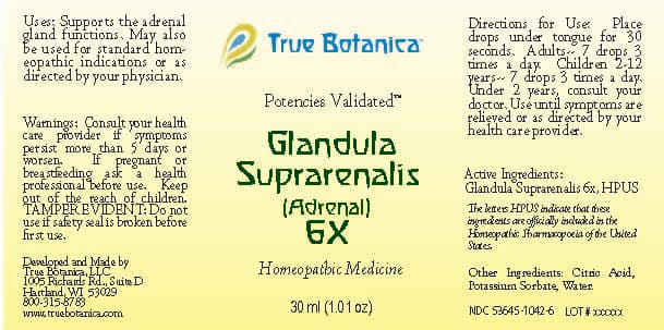 Glandula Suprarenalis (adrenal) 6x package label