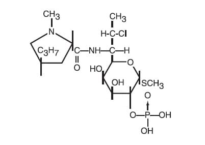 Clindamycin Phosphate package label